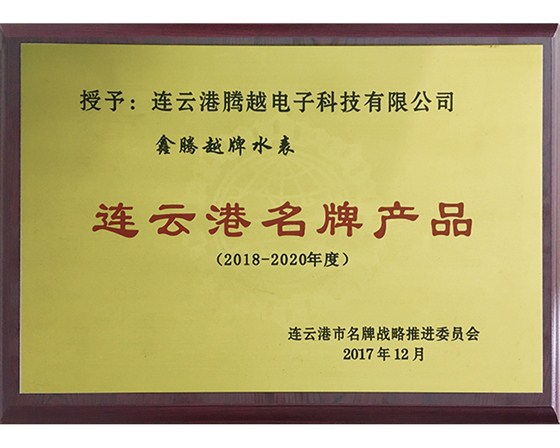 连云港名牌产品-鑫腾越水表